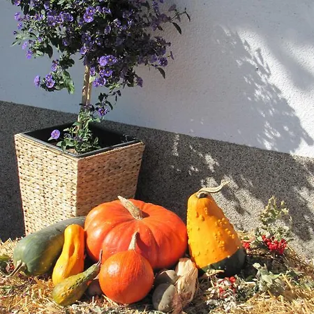 Lechthaler Apartament Wenns